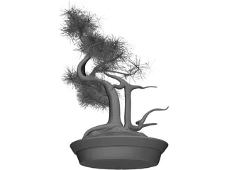 Bonsai Tree 3D Model