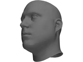 Human Male Scanned Head 3D Model