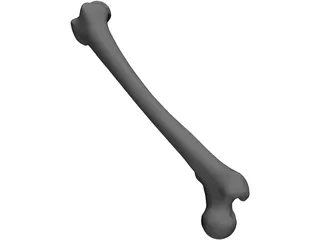 Femur Bone 3D Model