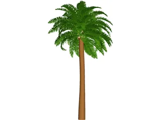 Coconut Tree 3D Model