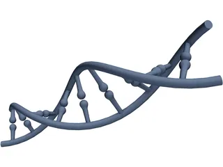 DNA 3D Model