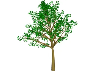 Tree 3D Model