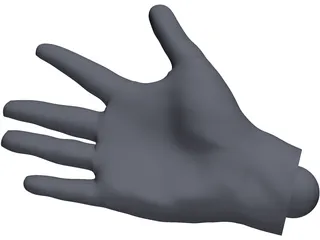 Human Hand 3D Model