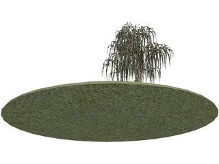 Garden 3D Model