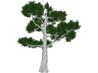 Pine Tree 3D Model