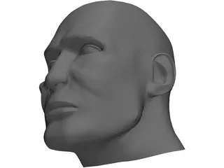 Male Human Head 3D Model