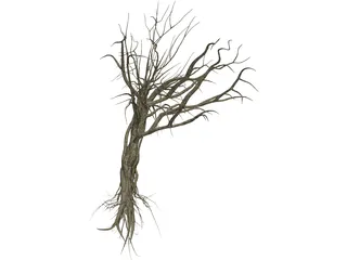 Dry Old Tree 3D Model