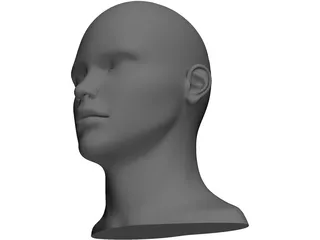 Human Head and Neck 3D Model