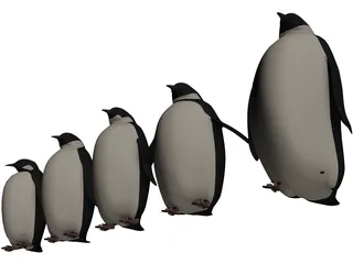 Penguins 3D Model