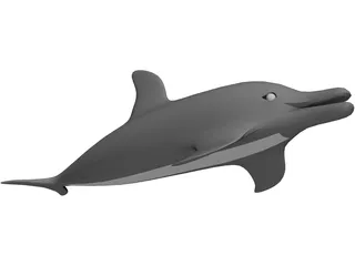 Dolphin 3D Model