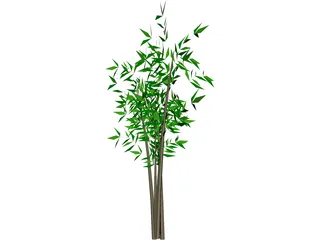 Bamboo Tree 3D Model