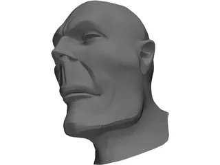 Head Hooligan-Like Uman 3D Model