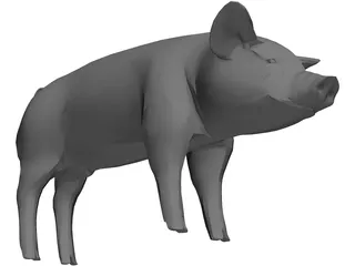 Pig 3D Model