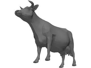 Bull Udder 3D Model