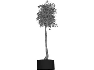 Arbol Tree 3D Model