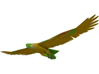 Eagle [Animated] 3D Model