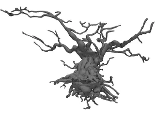 Gnarled Tree 3D Model