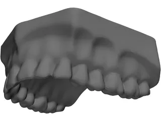 Teeth Upper Surface 3D Model