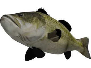 Largemouth Bass 3D Model