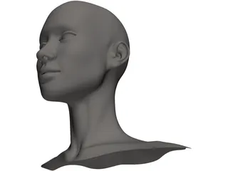 Head Female 3D Model