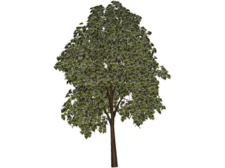 Pine Wood Tree 3D Model