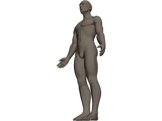 Human 3D Model