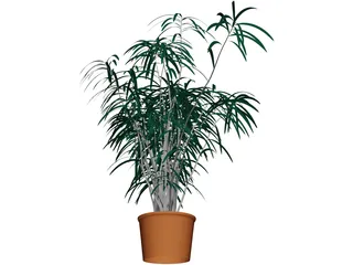 Indoor Plant 3D Model