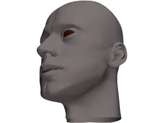 Man Head 3D Model