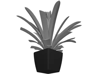 Potted Plant 3D Model