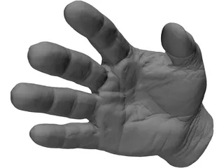 Right Hand Male 3D Model