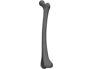 Femur Bone 3D Model
