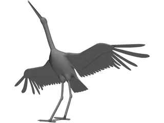 Ciconia Stork 3D Model