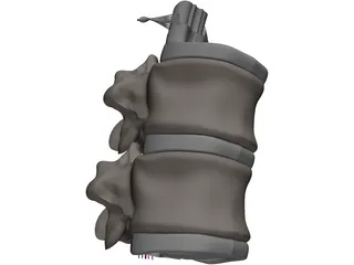 Vertebra 3D Model