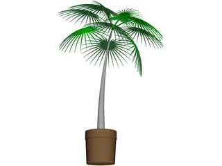 Palm Tree Plant 3D Model