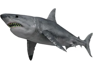 Great White Shark 3D Model