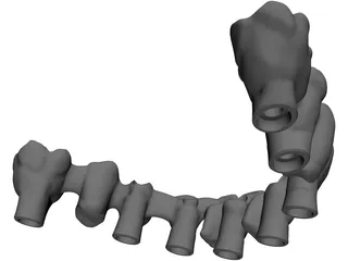 Reduced Mandibula Arcade 3D Model