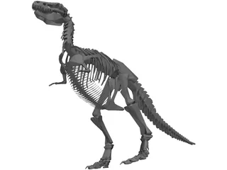 T-Rex Skeleton 3D Model