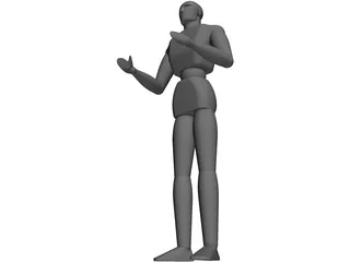 Human 3D Model