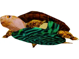 Turtle 3D Model