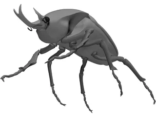 African Rose Beetle 3D Model