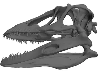 Dinosaur Skull 3D Model