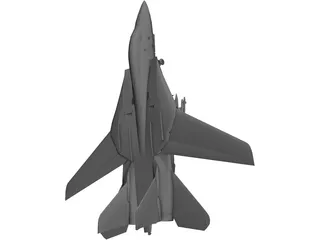 F-14 Tomcat Fighter 3D Model