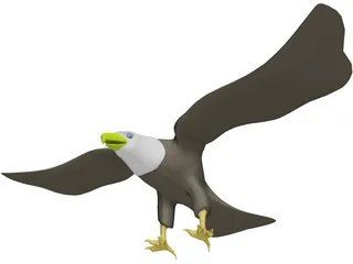 Eagle Bald 3D Model