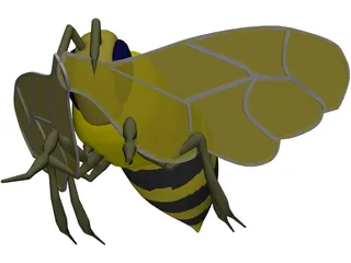 Bee 3D Model