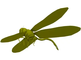 Dragon Fly 3D Model