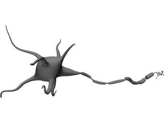 Neuron 3D Model