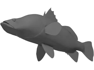 Barramundi 3D Model