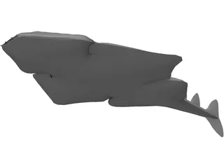 Angel Shark 3D Model