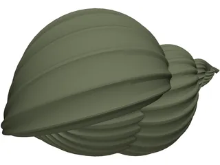 Shell Sea 3D Model