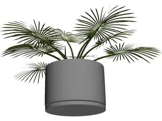 House Plant 3D Model